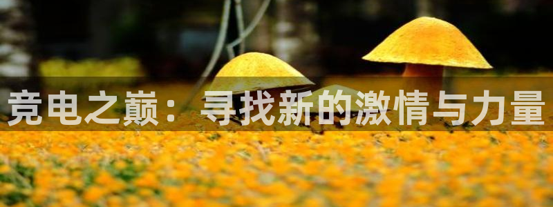 一竞技平台：竞电之巅：寻找新的激情与力量