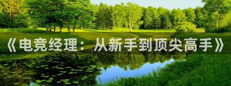 一竞技官网：《电竞经理：从新手到顶尖高手》